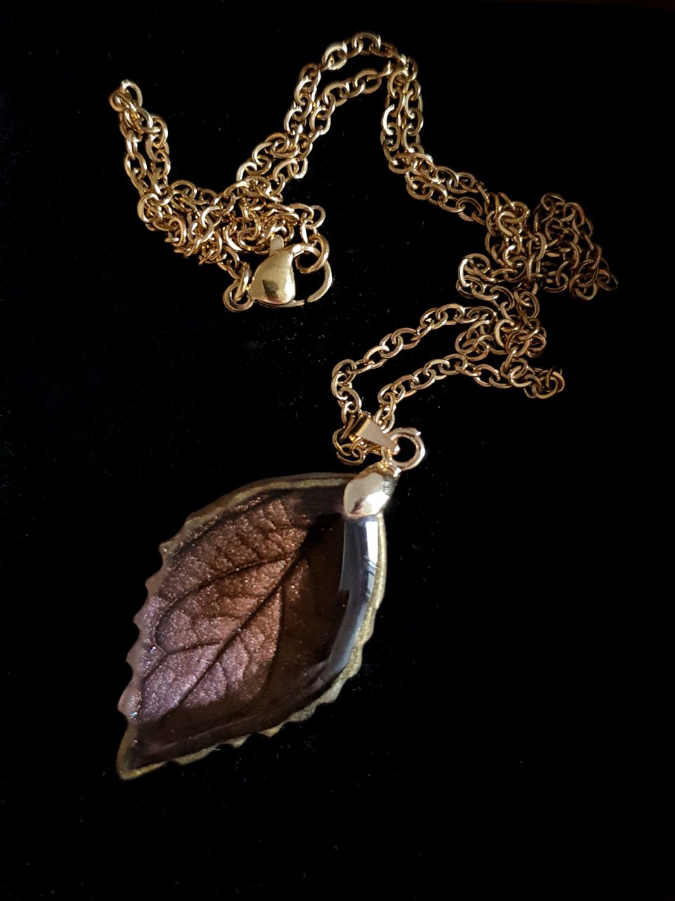 Brownie Leaf
