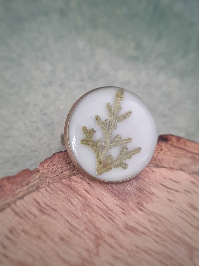 Cypress Moon