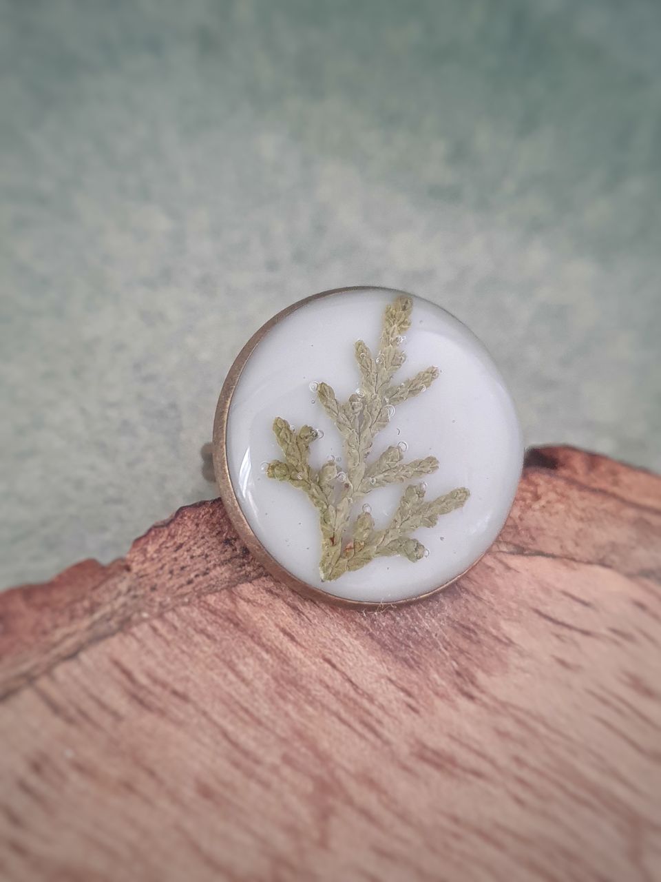 Cypress Moon